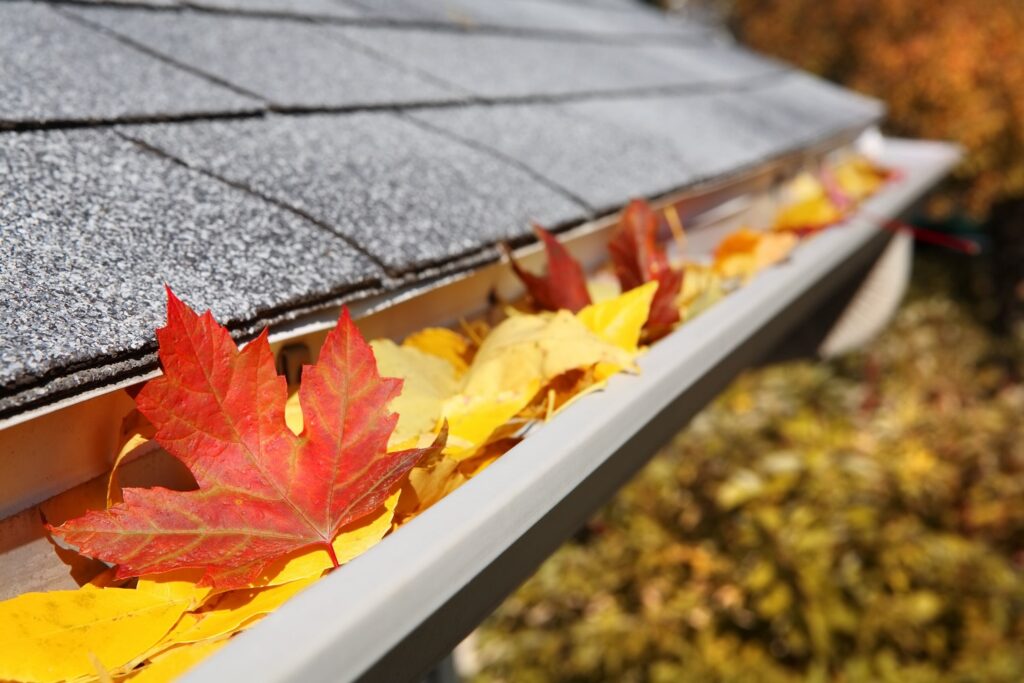 roofing companies near me roof repair roofers near me roof installation roof repair near me roofing contractor siding installation roof replacement near me roofing near me roofing contractors near me roof inspection siding contractors near me roof installation near me siding companies near me roofing contractor near me window replacement companies near me roofing and siding contractors near me masonry contractor near me