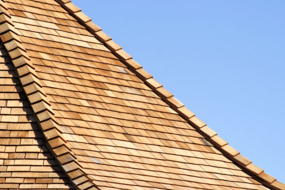 roofing companies near me roof repair roofers near me roof installation roof repair near me roofing contractor siding installation roof replacement near me roofing near me roofing contractors near me roof inspection siding contractors near me roof installation near me siding companies near me roofing contractor near me window replacement companies near me roofing and siding contractors near me masonry contractor near me