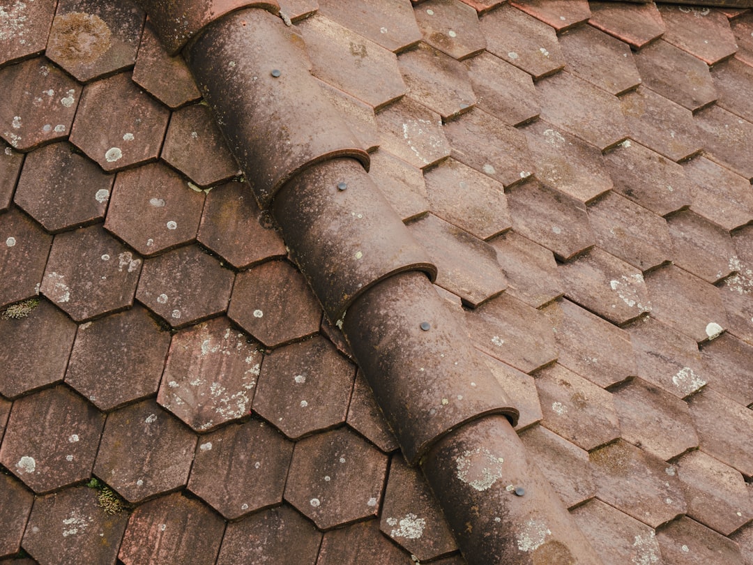 tile roof maintenance